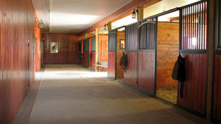Four Stall Barn Inside